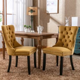 Nikki Collection Modern, High-end Tufted Solid Wood Contemporary Velvet Upholstered Dining Chair with Wood Legs Nailhead Trim 2-Pcs Set,Gloden, SW2001